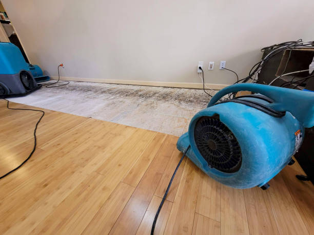Professional Emergency Water Damage technician working in Granby, MA